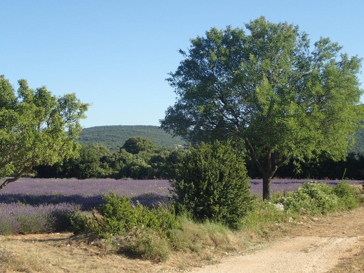 Le Rocher De Sampzon Exteriör bild